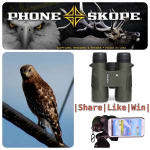 Phone skope Birding Contest