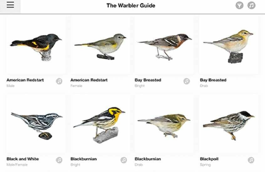 Phoneskope Warbler Bird Spotting Guide