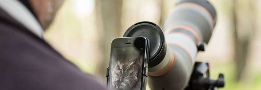 Phoneskope how to digiscope for birds