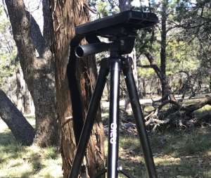 Mobile Digiscoping With Tripod