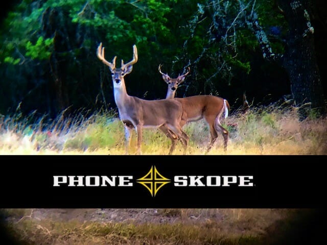 Deer Through Phone Skope Spotting Scope